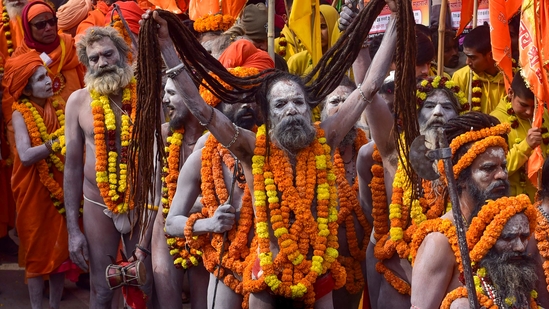 mahakumbh_nagasadhus_1736528128109_1736841986950